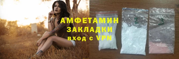 сатива Верея