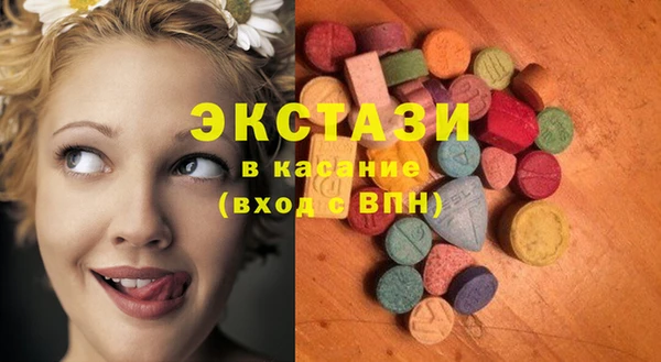 сатива Верея
