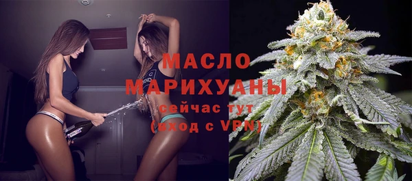 сатива Верея