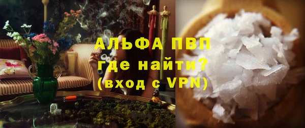 сатива Верея