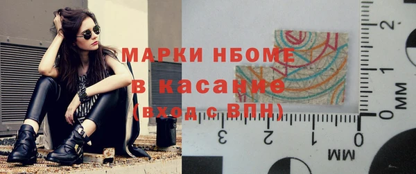 сатива Верея
