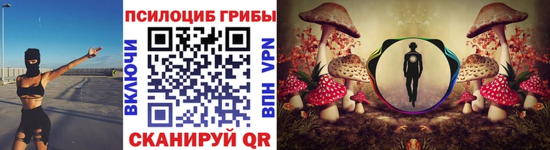 Псилоцибиновые грибы ЛСД  mega ССЫЛКА  Ачинск 