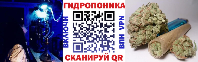 Шишки марихуана сатива  Ачинск 